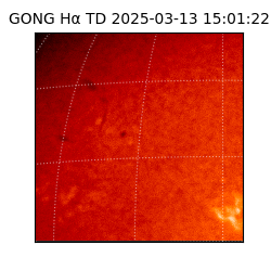 gong - 2025-03-13T15:01:22
