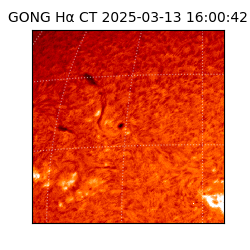 gong - 2025-03-13T16:00:42