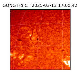 gong - 2025-03-13T17:00:42