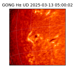 gong - 2025-03-13T05:00:02