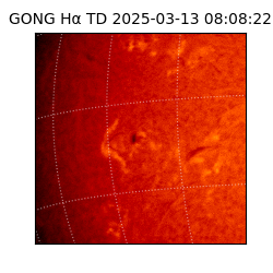 gong - 2025-03-13T08:08:22