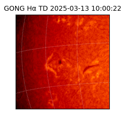 gong - 2025-03-13T10:00:22