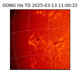 gong - 2025-03-13T11:00:22