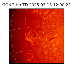 gong - 2025-03-13T12:00:22