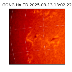 gong - 2025-03-13T13:02:22
