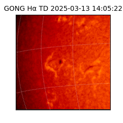 gong - 2025-03-13T14:05:22