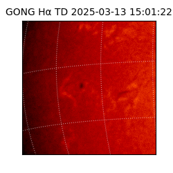 gong - 2025-03-13T15:01:22