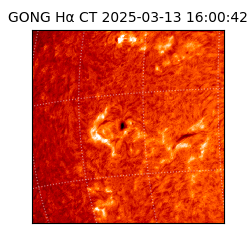 gong - 2025-03-13T16:00:42