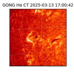 gong - 2025-03-13T17:00:42