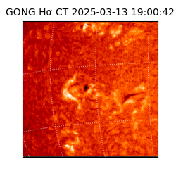 gong - 2025-03-13T19:00:42