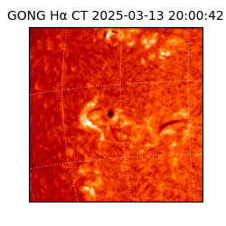 gong - 2025-03-13T20:00:42