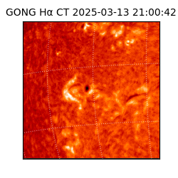 gong - 2025-03-13T21:00:42