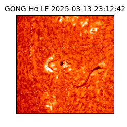 gong - 2025-03-13T23:12:42