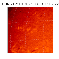gong - 2025-03-13T13:02:22