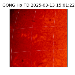 gong - 2025-03-13T15:01:22