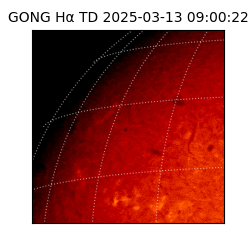 gong - 2025-03-13T09:00:22