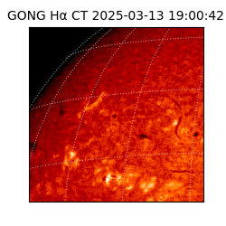 gong - 2025-03-13T19:00:42