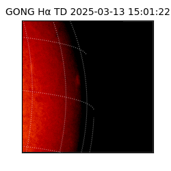 gong - 2025-03-13T15:01:22