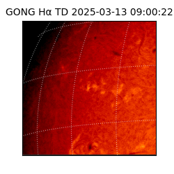 gong - 2025-03-13T09:00:22