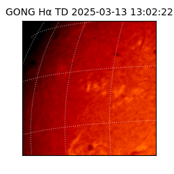 gong - 2025-03-13T13:02:22