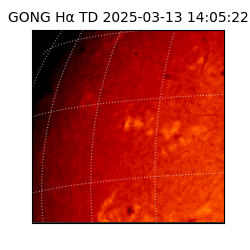gong - 2025-03-13T14:05:22