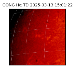 gong - 2025-03-13T15:01:22