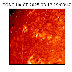 gong - 2025-03-13T19:00:42