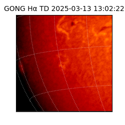 gong - 2025-03-13T13:02:22