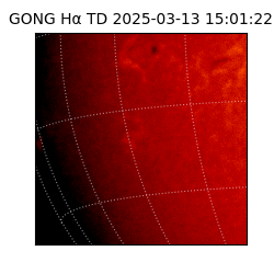 gong - 2025-03-13T15:01:22