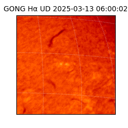 gong - 2025-03-13T06:00:02