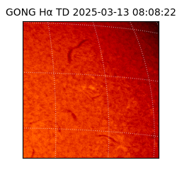 gong - 2025-03-13T08:08:22