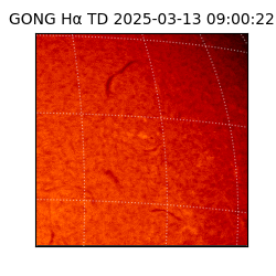 gong - 2025-03-13T09:00:22