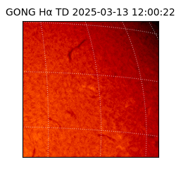 gong - 2025-03-13T12:00:22