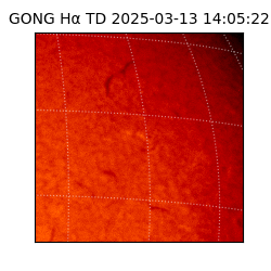 gong - 2025-03-13T14:05:22
