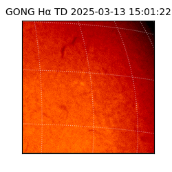 gong - 2025-03-13T15:01:22