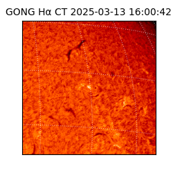 gong - 2025-03-13T16:00:42