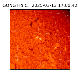 gong - 2025-03-13T17:00:42