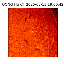 gong - 2025-03-13T19:00:42