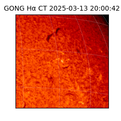 gong - 2025-03-13T20:00:42