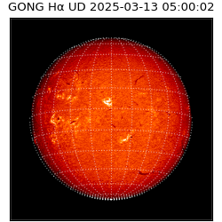gong - 2025-03-13T05:00:02
