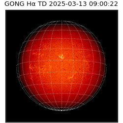 gong - 2025-03-13T09:00:22