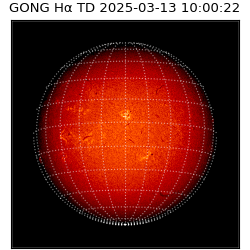 gong - 2025-03-13T10:00:22