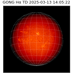 gong - 2025-03-13T14:05:22