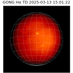 gong - 2025-03-13T15:01:22