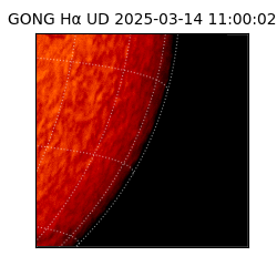 gong - 2025-03-14T11:00:02