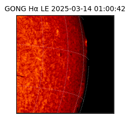 gong - 2025-03-14T01:00:42