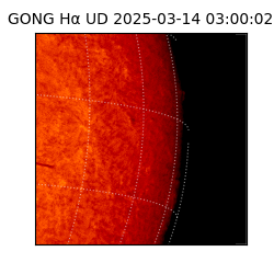 gong - 2025-03-14T03:00:02