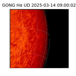 gong - 2025-03-14T09:00:02