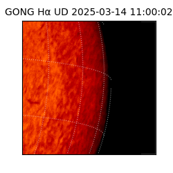 gong - 2025-03-14T11:00:02