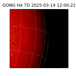 gong - 2025-03-14T12:00:22